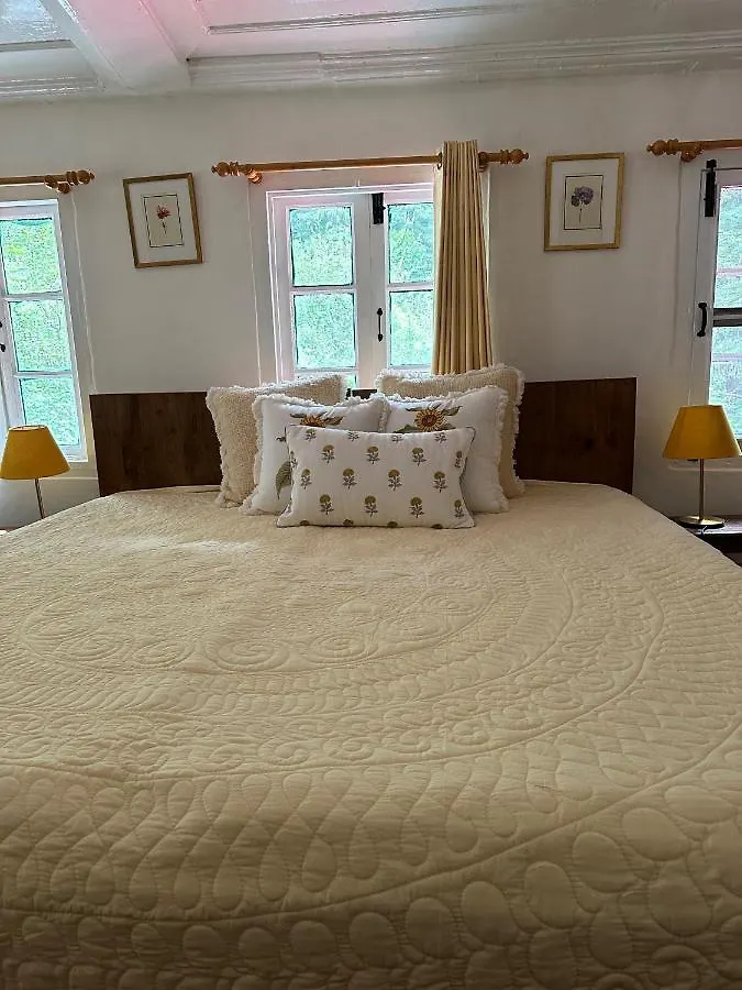 Dimple Lodge, Simla 0*, Shimla
