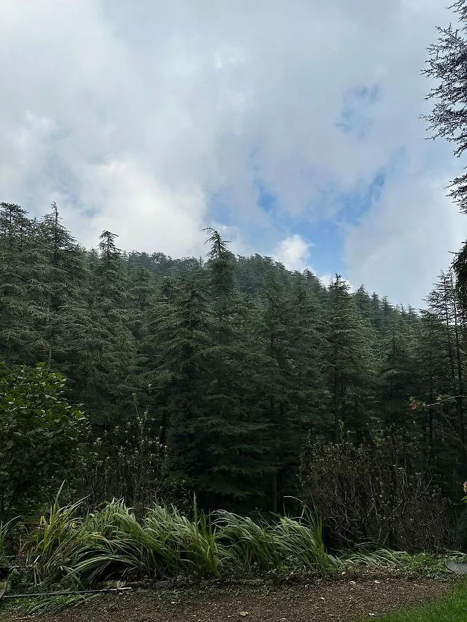 Dimple Lodge, Simla Villa