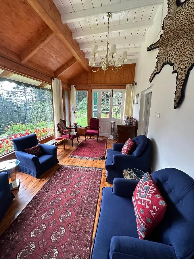 Dimple Lodge, Simla India
